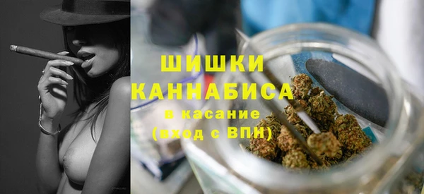 дживик Богородск