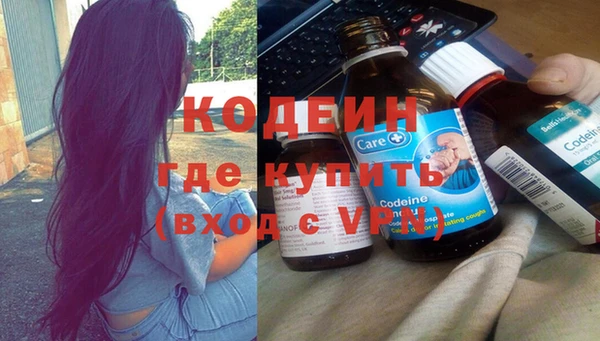 дживик Богородск
