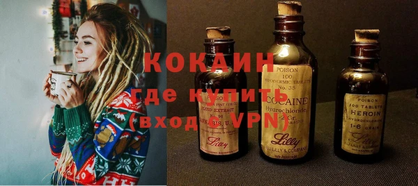 дживик Богородск