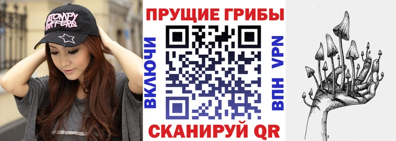 blacksprut вход Валуйки Псилоцибиновые грибы Magic Shrooms цена наркотик