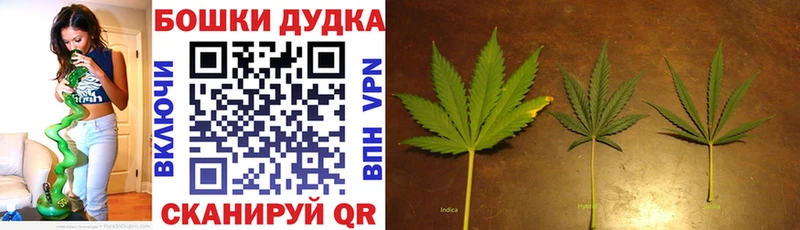магазин продажи   кракен ССЫЛКА  Бошки Шишки сатива  Валуйки 